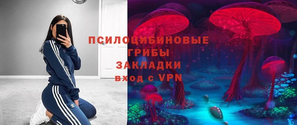 прущие грибы Заречный