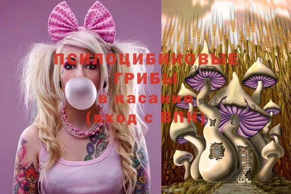 трава Беломорск
