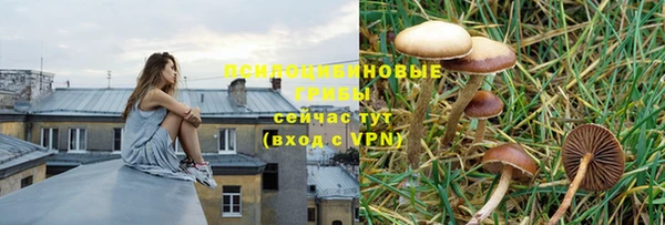 бошки Белоозёрский