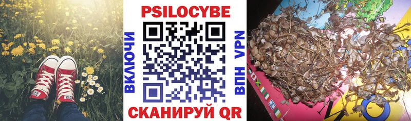 Псилоцибиновые грибы мицелий  Кушва 